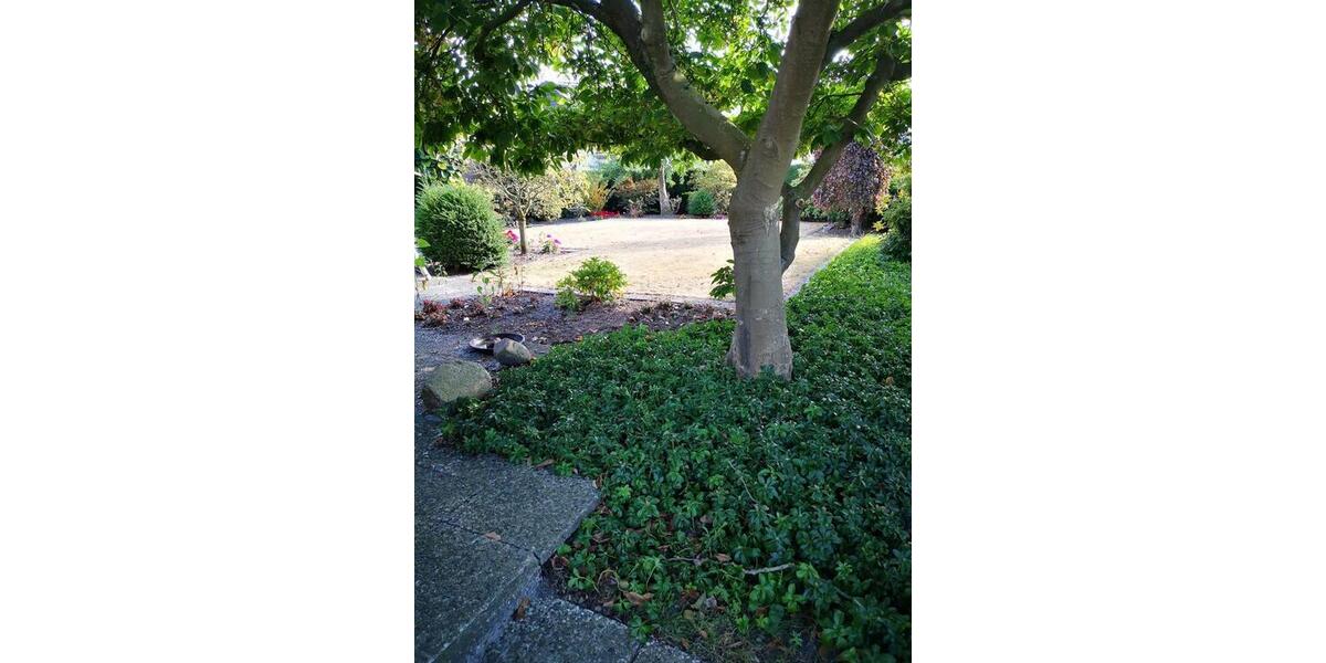 Einfamilienhaus Delmenhorst Bungerhof - 6 Zimmer, 150 m&sup2;, 419.000&euro; | Angebot:26109348