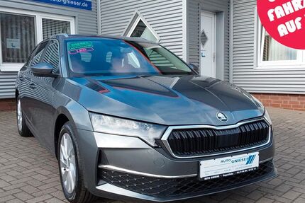 Skoda Octavia 5.000 km 30.900 &euro; Augustfehn 26689