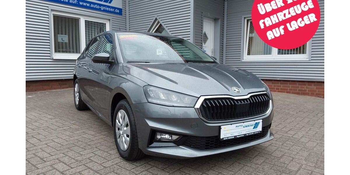 Skoda Fabia 2.500 km 17.900 &euro; Augustfehn 26689