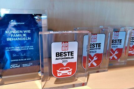 Ford Fiesta 19.950 km 16.345 &euro; Brake 26919