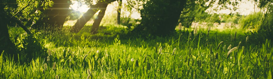 Natur Oldenburger Münsterland