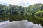 Exklusive Seeliegenschaft in Großenkneten 31.404m² Naturidyll mit privatem Steg und eigenem Wäldchen