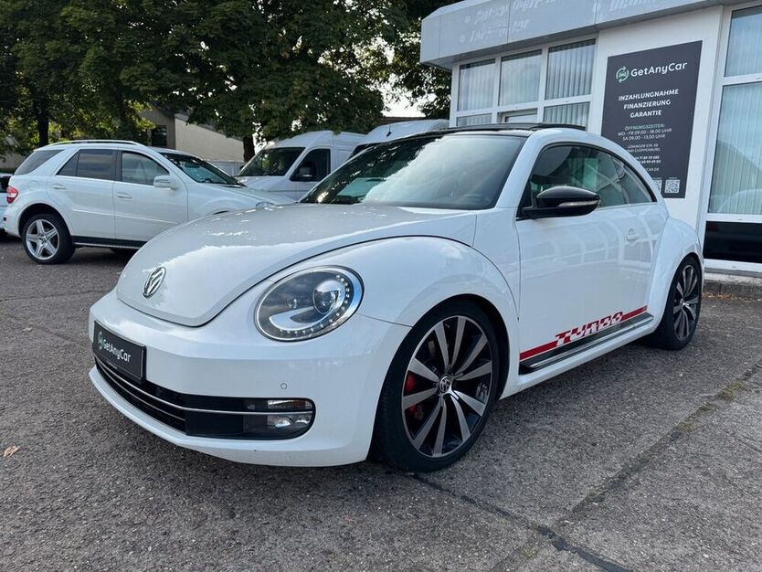 Beetle