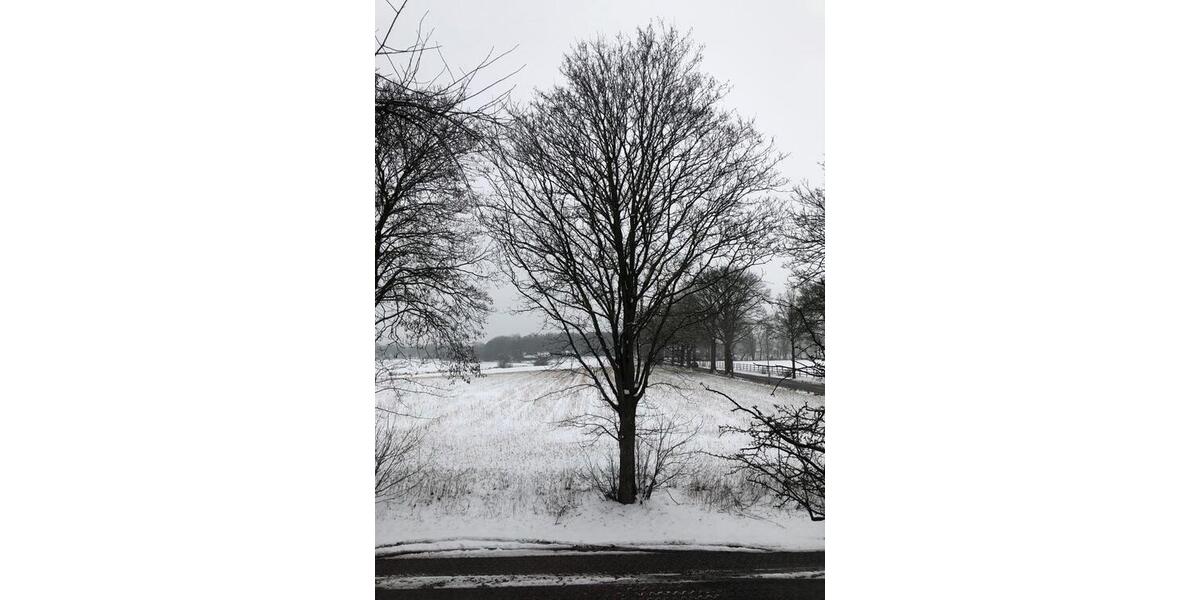 Etagenwohnung Oldenburg Drielaker-Moor - 3 Zimmer, 80 m&sup2;, 300&euro; | Angebot:25048501