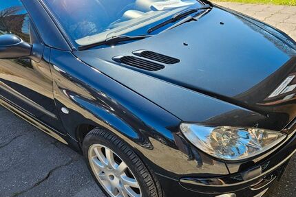 Peugeot 206 227.223 km 1.250 &euro; Bad Zwischenahn 26160