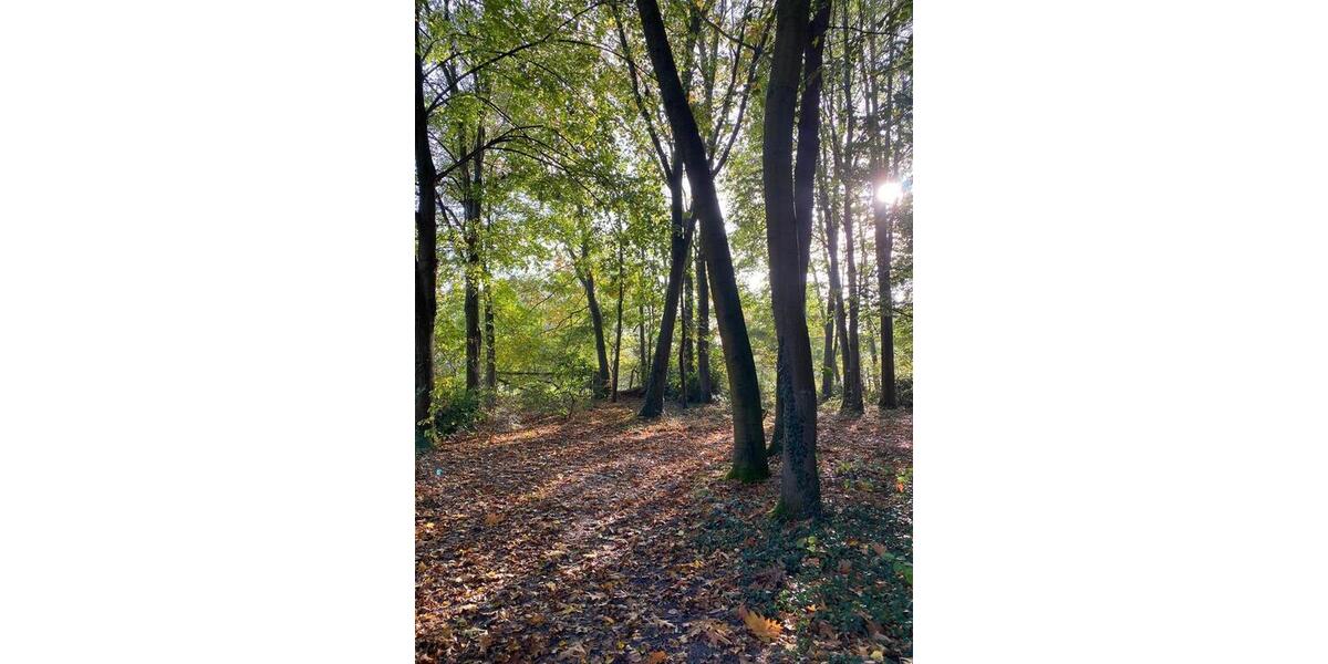 Bungalow Rastede - 4 Zimmer, 124 m&sup2;, 850.000&euro; | Angebot:26001958