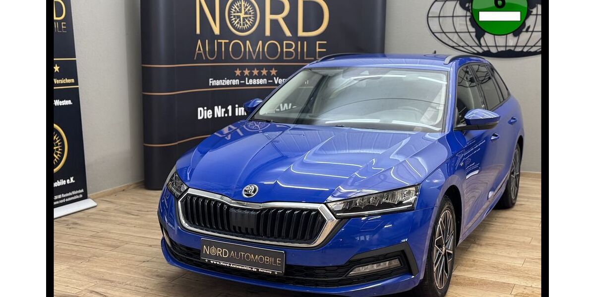 Skoda Octavia 111.354 km 17.490 &euro; Rastede/ Wahnbek 26180