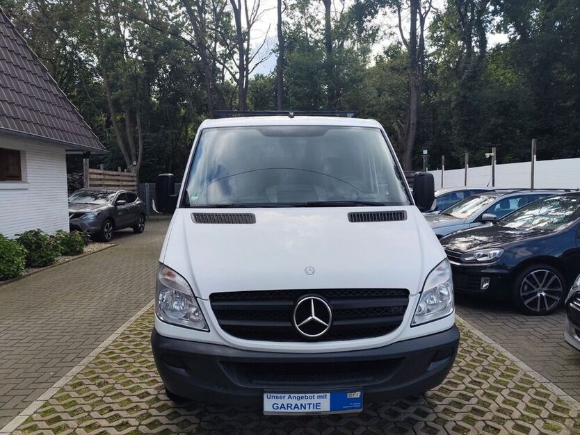 Sprinter
