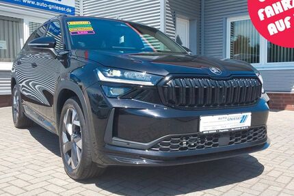 Skoda Kodiaq 7.700 km 41.900 &euro; Augustfehn 26689