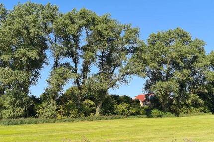 Haus Varel Streek - 8 Zimmer, 178 m&sup2;, 165.000&euro; | Angebot:24041860