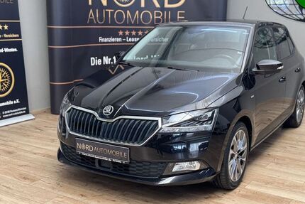 Skoda Fabia 109.941 km 13.890 € Rastede/ Wahnbek 26180