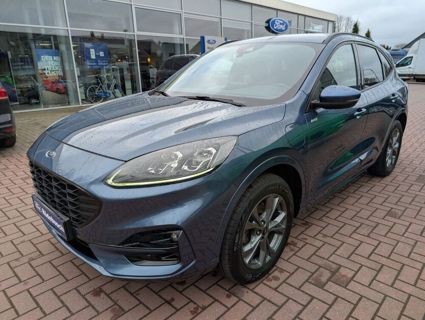 Kuga