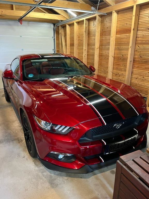 Mustang