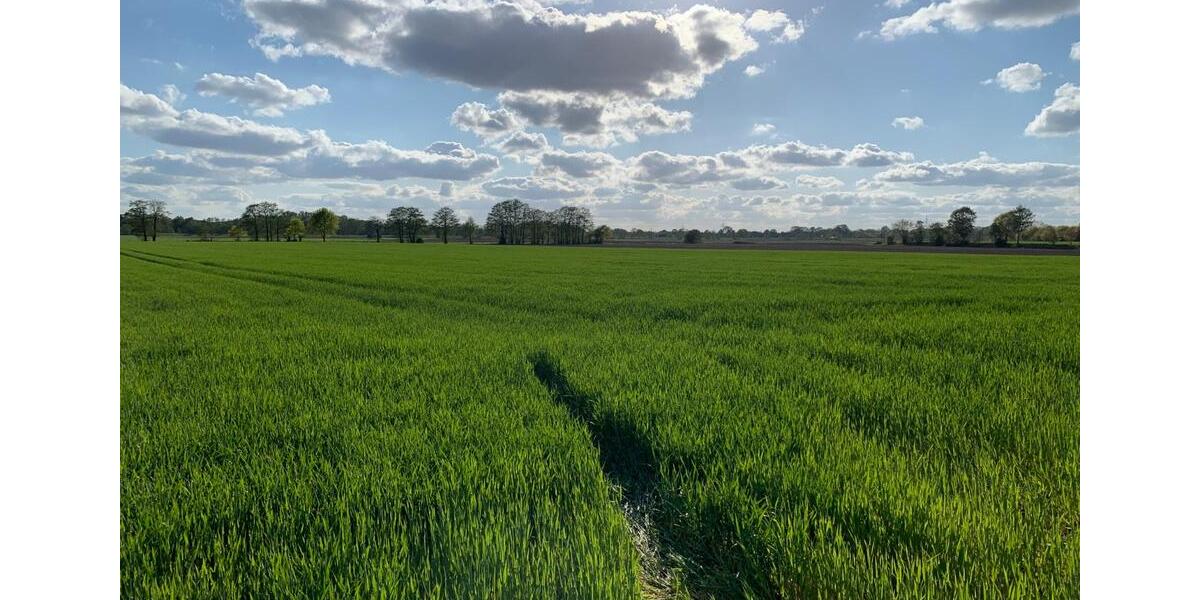 Einfamilienhaus Oldenburg Kreyenbrück - 6 Zimmer, 170 m&sup2;, 1.690&euro; | Angebot:25930618