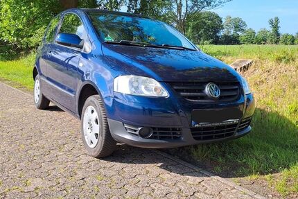 VW Fox