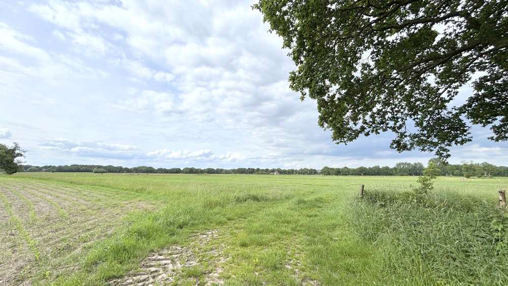 Grundstück Westerstede - 86.500&euro; | Angebot:26963540