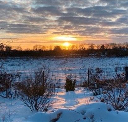 Einfamilienhaus Wardenburg - 3 Zimmer, 130 m&sup2;, 1.600&euro; | Angebot:26302708