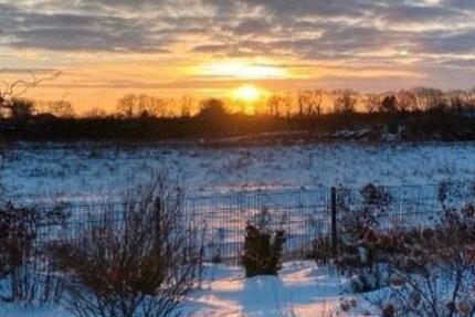 Haus Wardenburg - 3 Zimmer, 130 m&sup2;, 1.600&euro; | Angebot:26302708