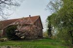 Bauernhaus, Landhaus Jade - 8 Zimmer, 234 m&sup2;, 249.000&euro; | Angebot:26657165