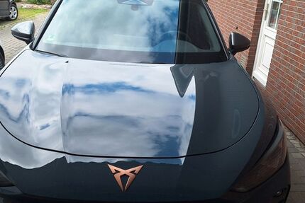 Cupra Terramar 24.000 km 30.880 &euro; Berne 27804