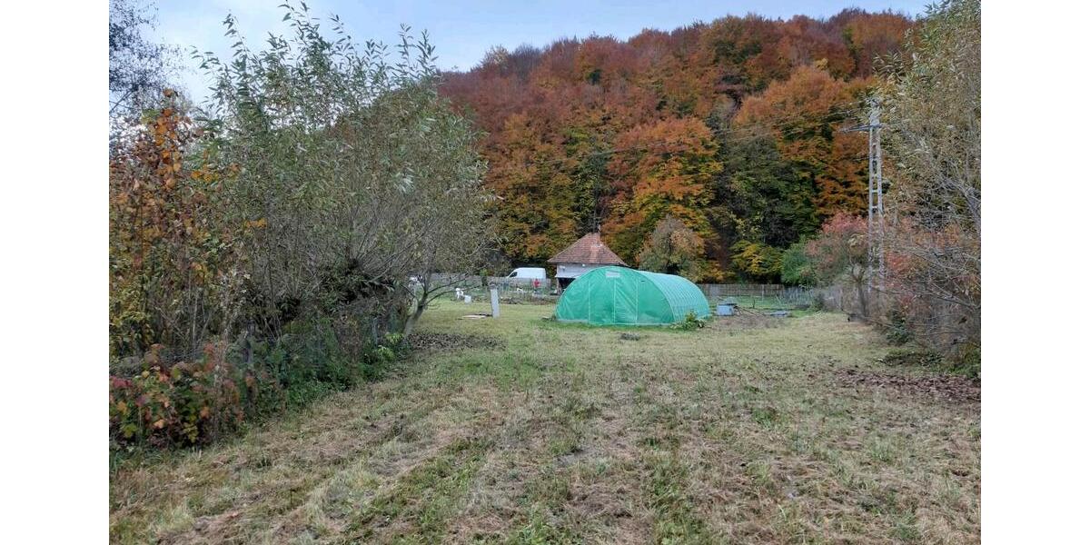 Einfamilienhaus Ganderkesee - 1 Zimmer, 45 m&sup2;, 55.000&euro; | Angebot:26883517