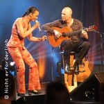 Konzert: Friend ´n Fellow - Songperlen