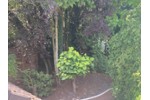 Einfamilienhaus Oldenburg Alexandersfeld - 4 Zimmer, 100 m&sup2;, 250.000&euro; | Angebot:27217604