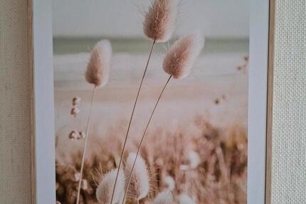 Wohnung Oldenburg Ziegelhof - 3.5 Zimmer, 90 m&sup2;, 900&euro; | Angebot:25395000