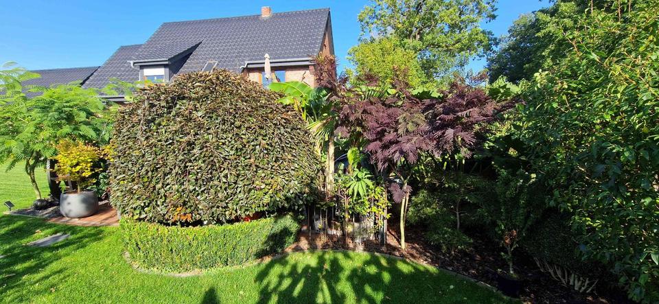 Etagenwohnung Schwanewede - 3 Zimmer, 134 m&sup2;, 1.210&euro; | Angebot:25842694