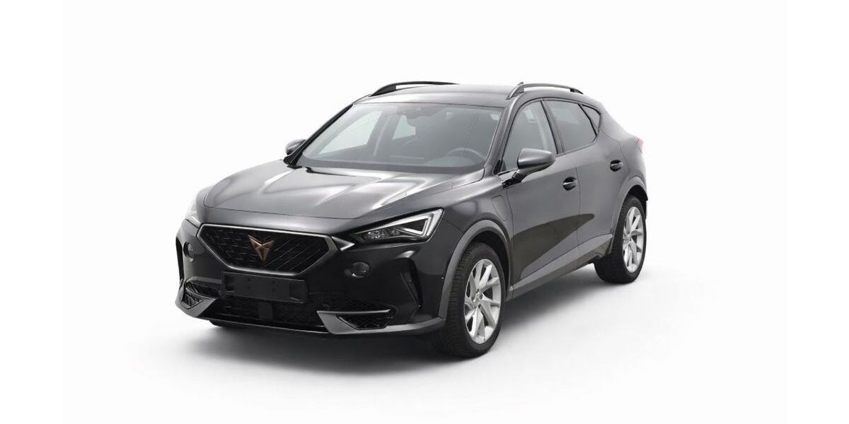 Cupra Formentor 18.160 km 25.950 &euro; Wardenburg 26203