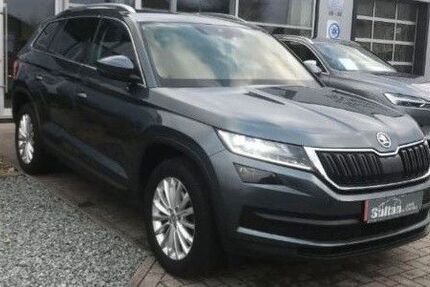 Skoda Kodiaq 178.000 km 22.999 &euro; Bad Zwischenahn 26160