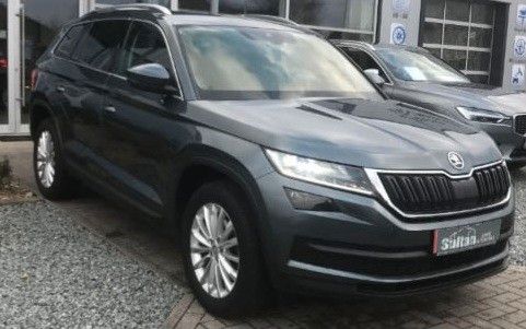 Skoda Kodiaq 178.000 km 22.999 &euro; Bad Zwischenahn 26160