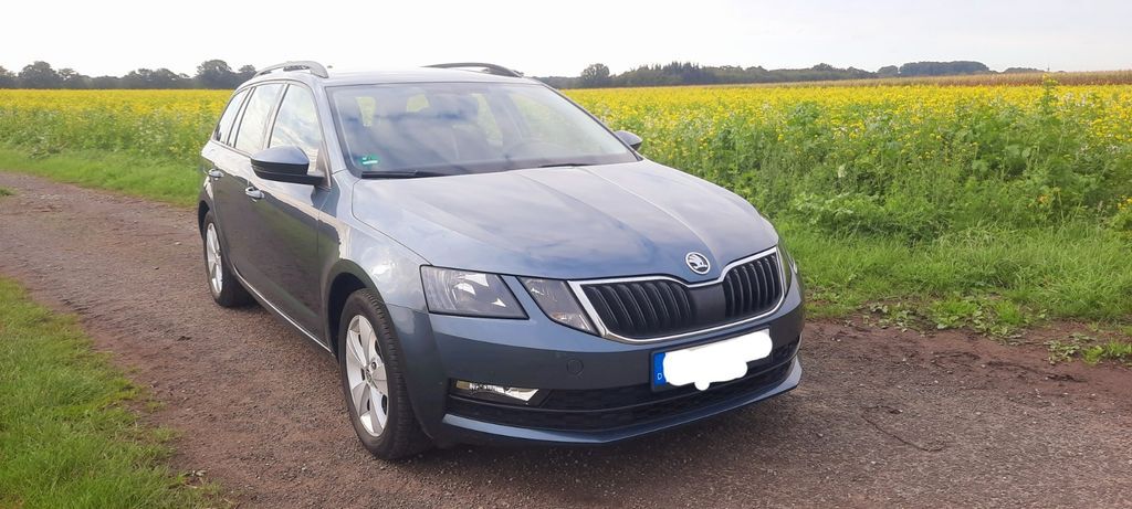 Skoda Octavia 127.000 km 11.900 € Altenoythe 26169
