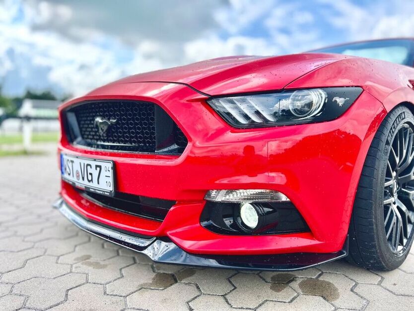 Mustang