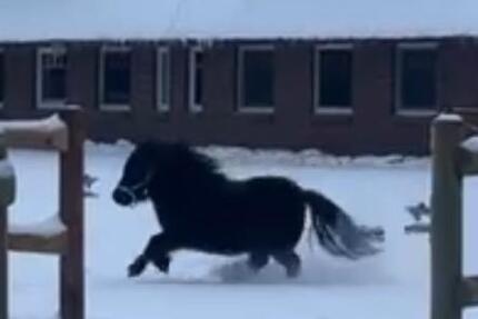 Wohnung teilmöbliert 3 zimmer