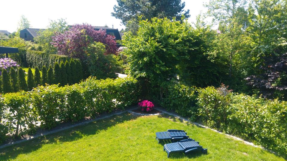 Einfamilienhaus Bad Zwischenahn - 3 Zimmer, 62 m&sup2;, 229.000&euro; | Angebot:26394923