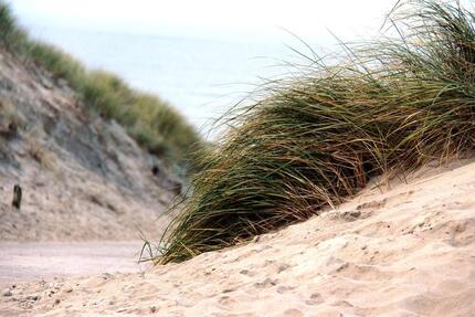 WG Zimmer in Oldenburg 1 zimmer