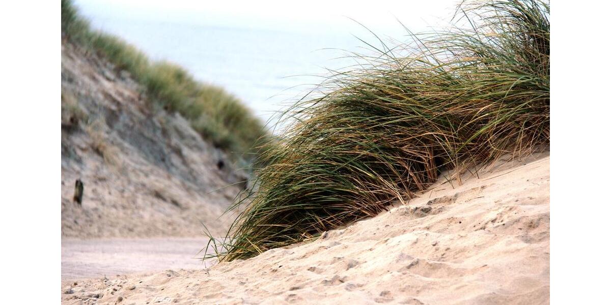 WG Zimmer in Oldenburg 1 zimmer