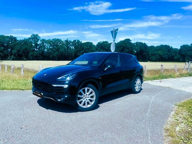 Cayenne