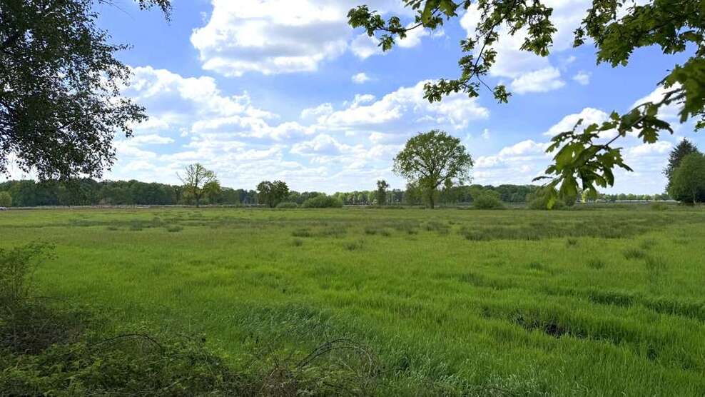 Grundstück in Edewecht 36.473 € 14589 m²