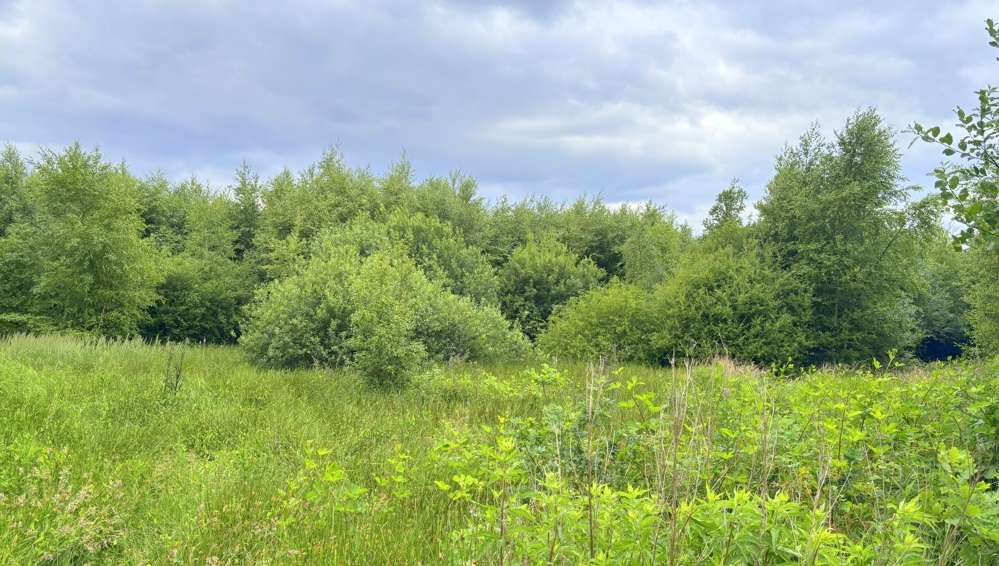 Grundstück in Edewecht 78.000 € 47086 m² zimmer