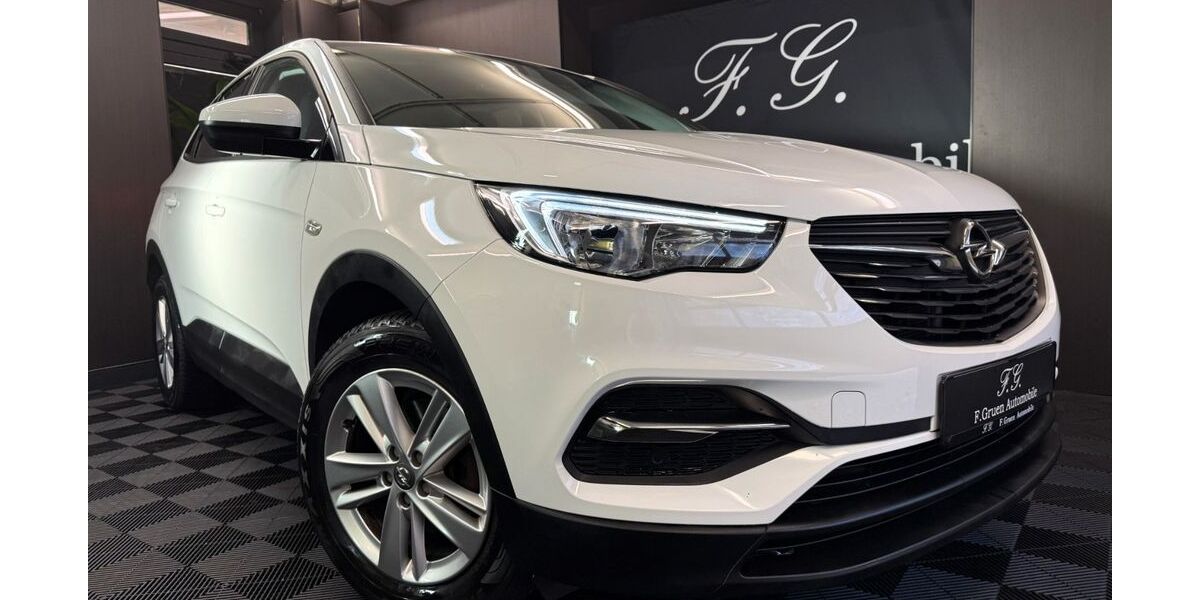Opel Grandland (X) 103.666 km 9.999 € Oldenburg 26125