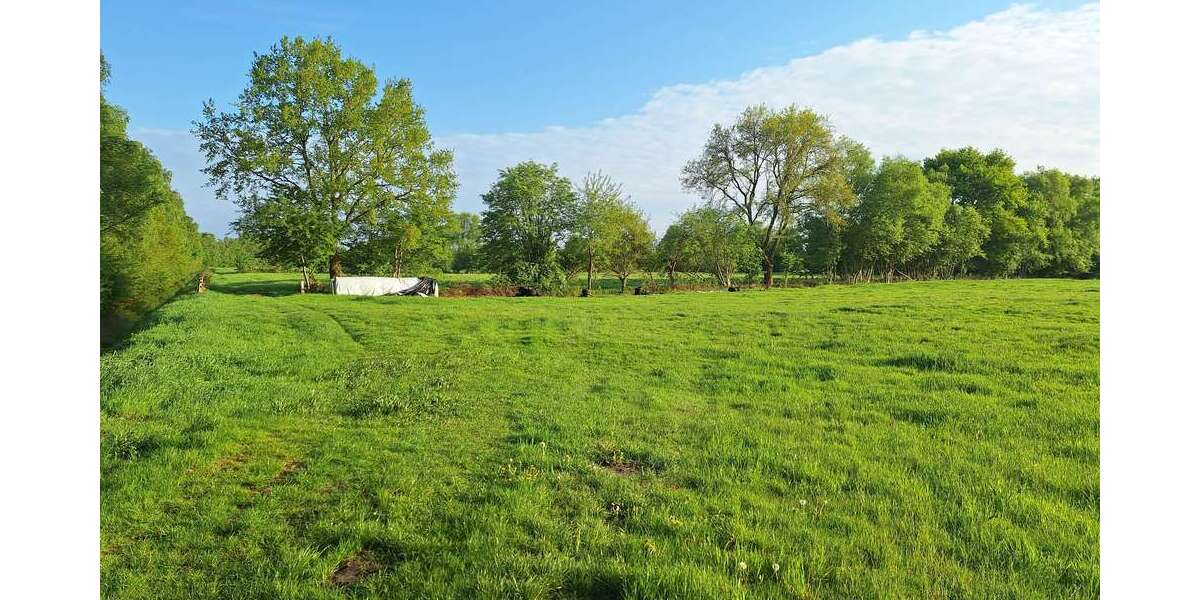 Grundstück zu verkaufen in Oldenburg 385.000 € 38987 m² zimmer