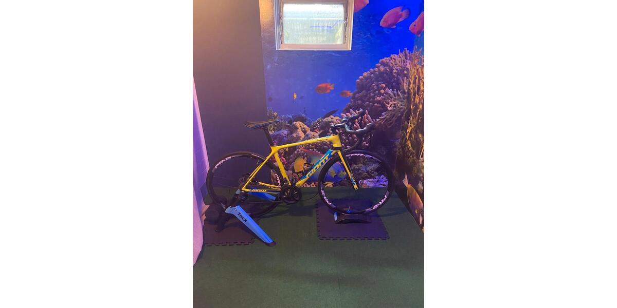 Dachgeschoßwohnung Rastede - 2 Zimmer, 61 m&sup2;, 199.000&euro; | Angebot:24826527