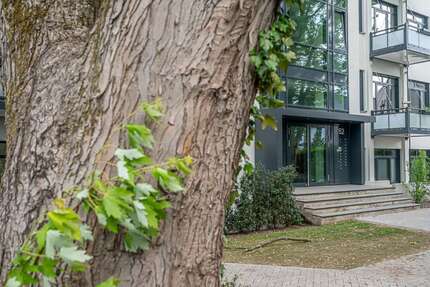 Wohnung zum Mieten in Oldenburg 1.350 € 113.24 m² 3 zimmer