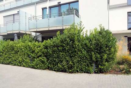 Wohnung zum Mieten in Würselen 1.265 € 107 m²