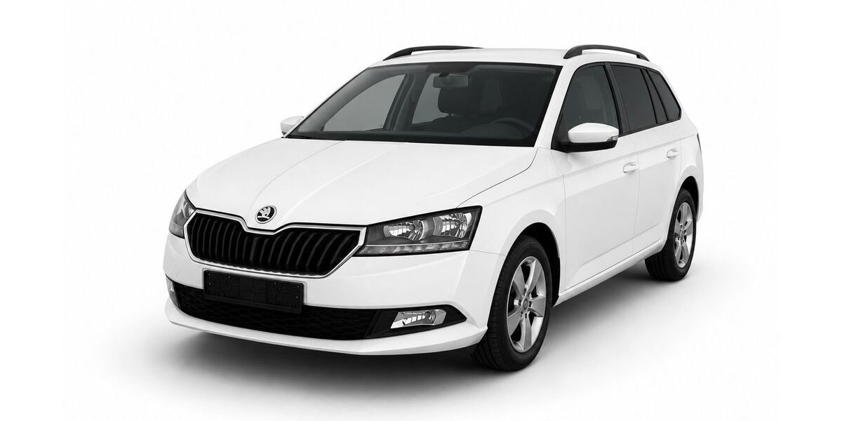 Skoda Fabia 113.440 km 13.450 &euro; Wardenburg 26203