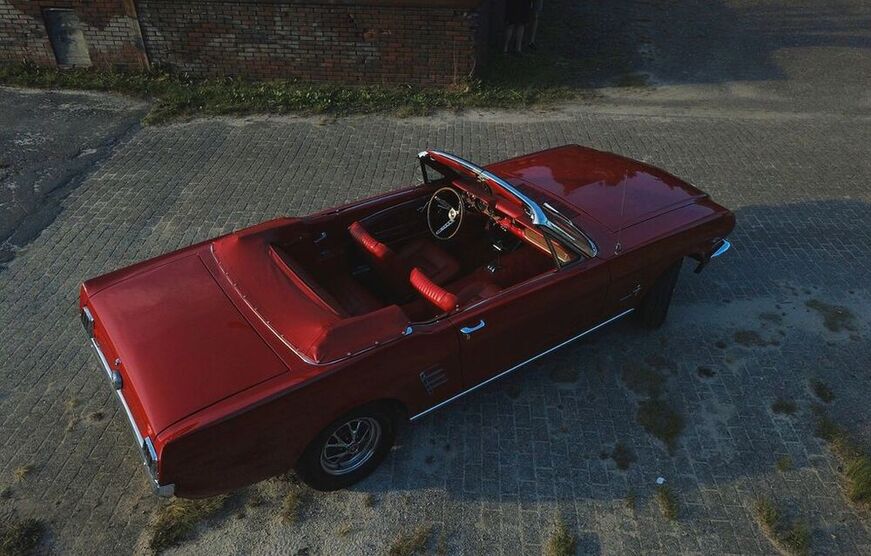 Mustang