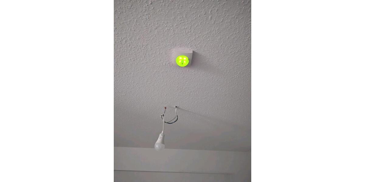 Dachgeschoßwohnung Apen - 2 Zimmer, 50 m&sup2;, 420&euro; | Angebot:25519824