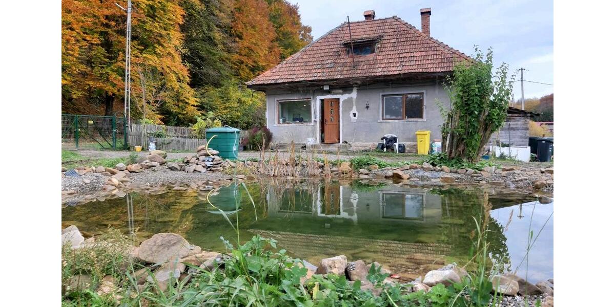 Einfamilienhaus Ganderkesee - 1 Zimmer, 45 m&sup2;, 55.000&euro; | Angebot:26883517